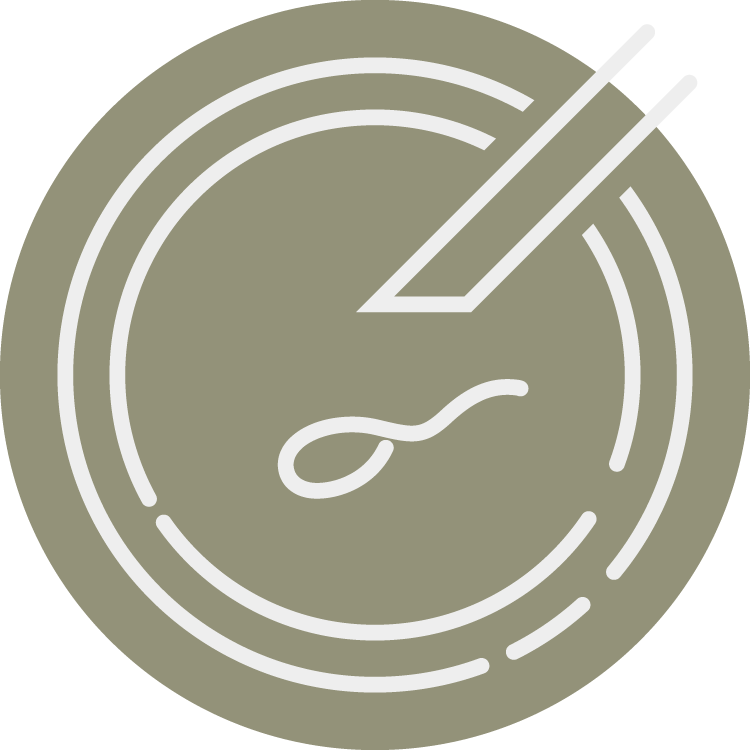 in vitro fertilization (IVF) and Intracytoplasmic Sperm Injection (ICSI)