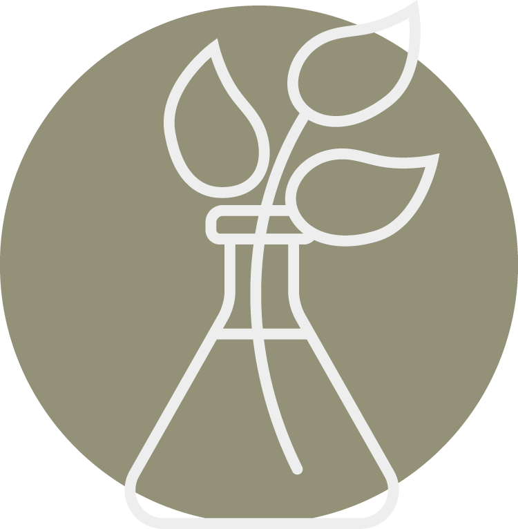 longevity and rejuvination