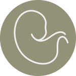 embryo testing, embryo banking, and embryo quality