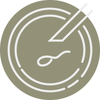 in vitro fertilization (IVF) and Intracytoplasmic Sperm Injection (ICSI)