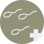 male infertility and male subfertility treatment