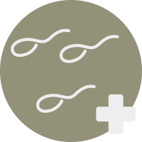 male infertility and male subfertility treatment