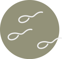 semen analysis, sperm freezing, and sperm quality